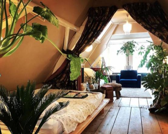 Bookstor Hotel Гаага Экстерьер фото